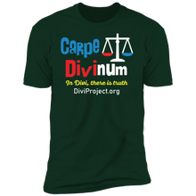 이미지를 갤러리 뷰어에 로드 , Carpe Divinum