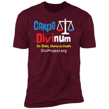 이미지를 갤러리 뷰어에 로드 , Carpe Divinum