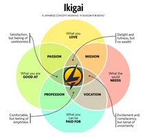 Carica l'immagine nel visualizzatore di Gallery, Ikigai