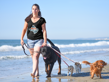 이미지를 갤러리 뷰어에 로드 , My Divi Dog  Ladies V-Neck