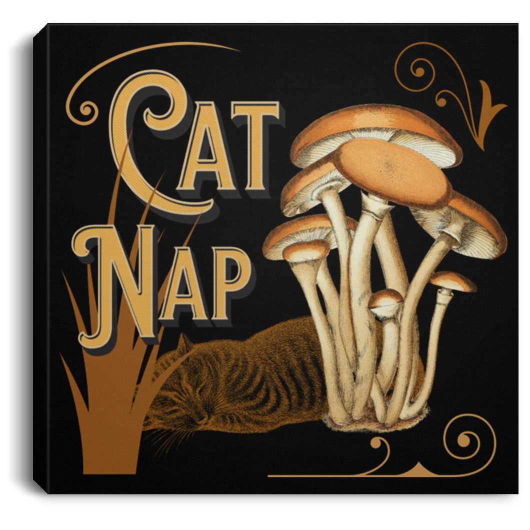Cat Nap Canvas