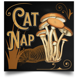 Cat Nap Poster